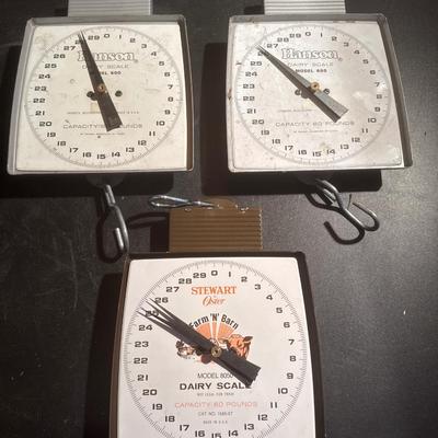 Dairy Scales