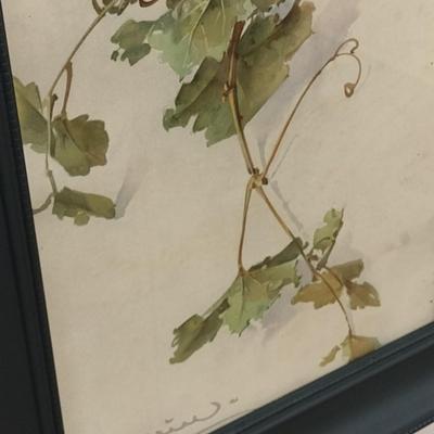 Framed Art Print Vine and Grapes