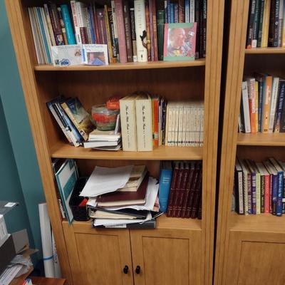 Single Unit Tall Bookcase with Double Door Lower Storage Choice B (No Contents)