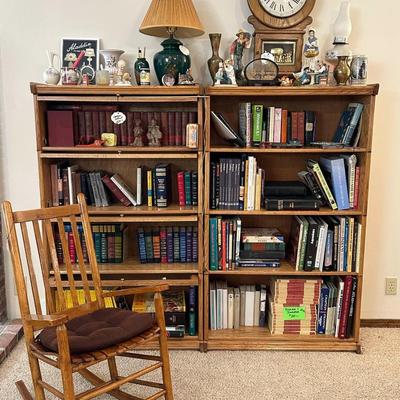 Lot 10: Book Shelves, Books & More