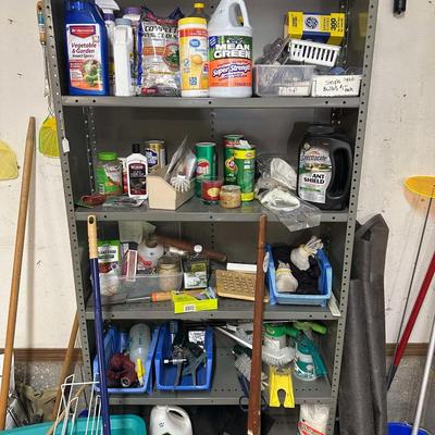 Lot 21: Shelf, Chemicals & More