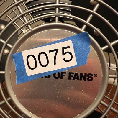King of Fans Floor Fan