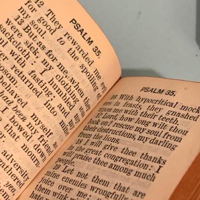 Turn of the Century Antique Miniature Bible Lot