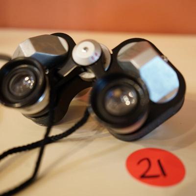 Nikko Binoculars & Case