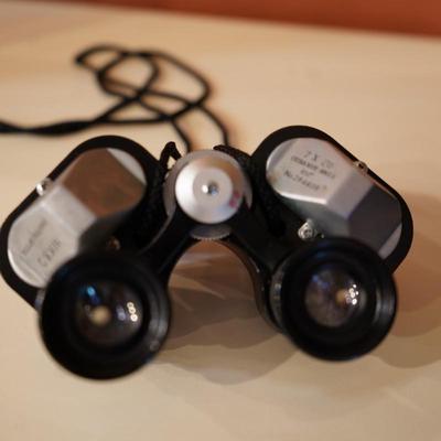 Nikko Binoculars & Case