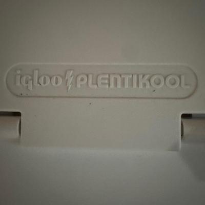 Vintage Samsonite briefcase and Igloo Plentikool cooler