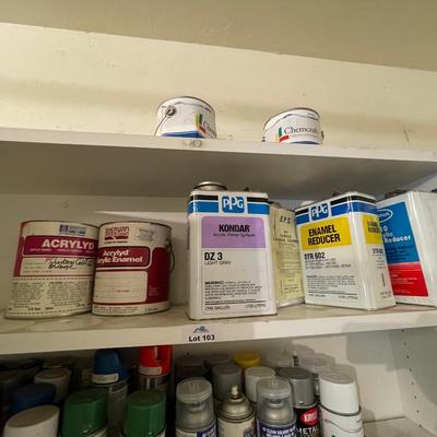 Top shelf of auto paints & enamel reducers