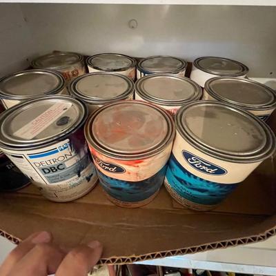 Entire shelf of auto paints