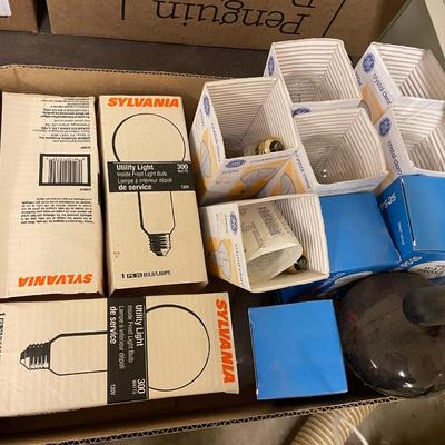 Box 200 & 300 Wattage Light Bulbs