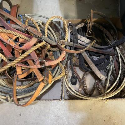 Sale Photo Thumbnail #1075: Lots of Horse riding tack in this lot in 2 flat boxes as shown