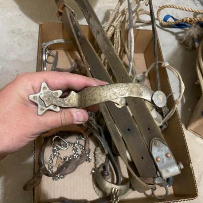 Box of Horse tack - 3 Spurs/Reins/Bridle