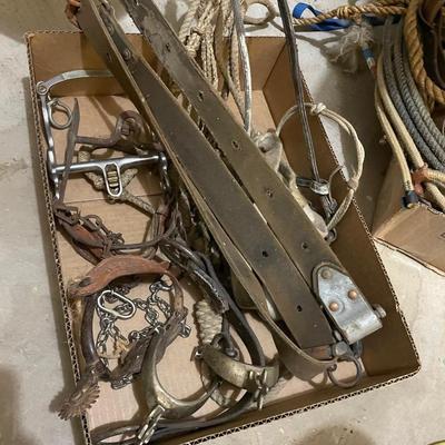 Box of Horse tack - 3 Spurs/Reins/Bridle