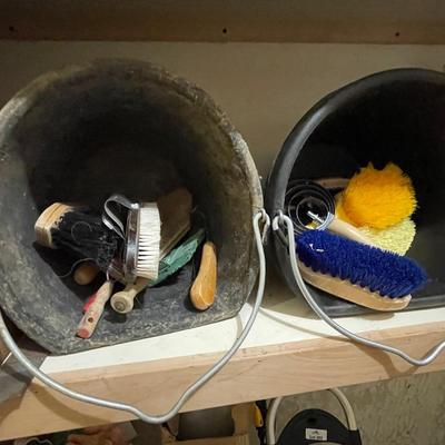 Shelf of Horse Care Supplies