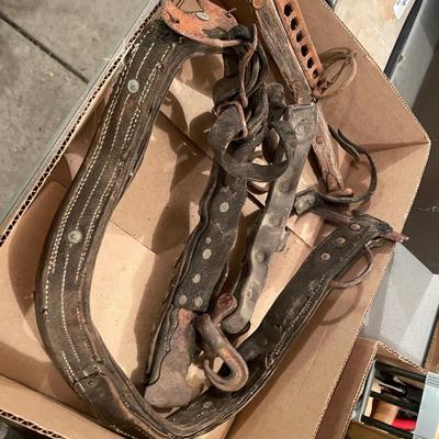 2 flats of Vtg. Horse Collars/Harnesses, etc.