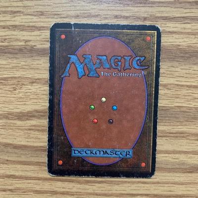 LOT 76 C: Magic The Gathering: Signed by Illustrator Christopher Rush Beta Forest Land Cards