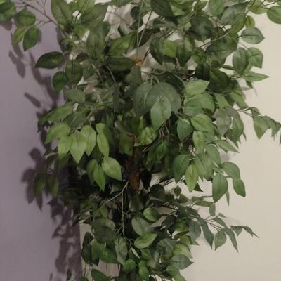 Artificial Ficus Tree- Approx 74" Tall