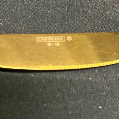 Cambridge Gold Flatware (2058L-MG)
