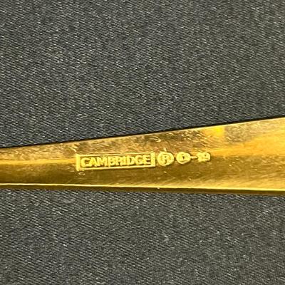 Cambridge Gold Flatware (2058L-MG)