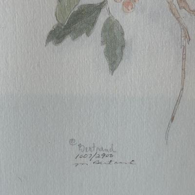 Signed & Numbered Paintings by Mary Bertrand