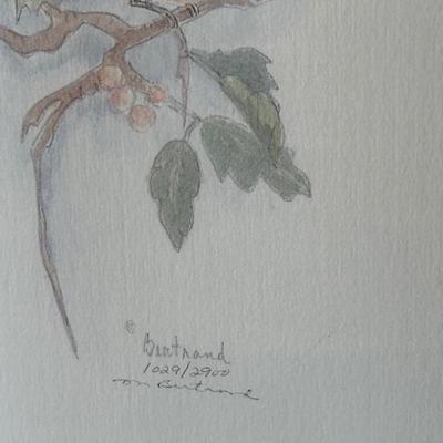 Signed & Numbered Paintings by Mary Bertrand