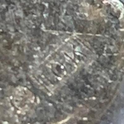 1906 Fraternity Pin - 10k Gold w/stone