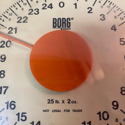 Borg Scales