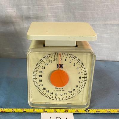 Borg Scales