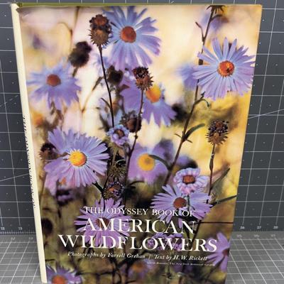 They Odyssey Book of American Wild Flowers. 