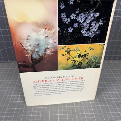 They Odyssey Book of American Wild Flowers. 