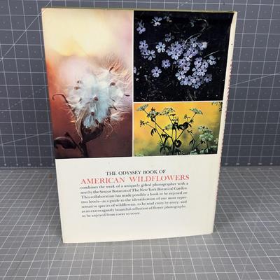 They Odyssey Book of American Wild Flowers. 