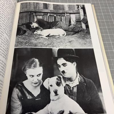 "The Silent Clowns" by Walter Kerr