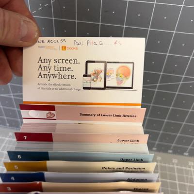 Anatomy Flash Card Set, OHHH Who's going to school? 