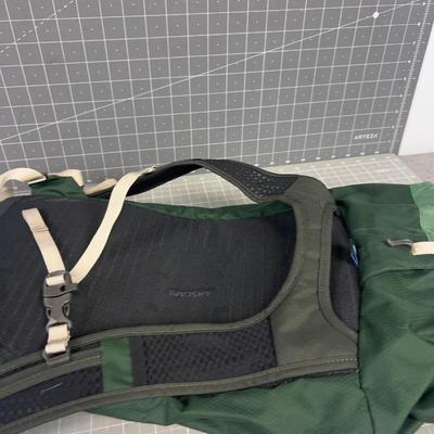 OSPREY Day Pack, Green 