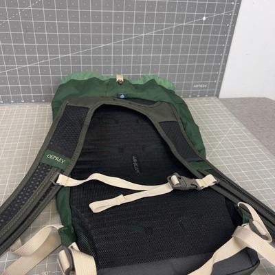OSPREY Day Pack, Green 