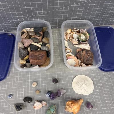 Rocks, Shells & Fossils