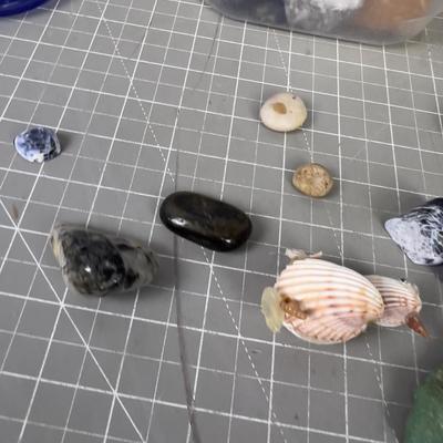 Rocks, Shells & Fossils