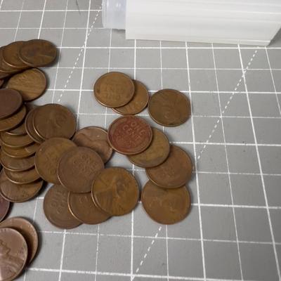 50 Wheat Pennies 