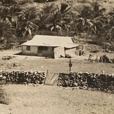 Rare 1950s Real Photo Postcards - Aruba Scenes