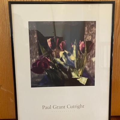 Lot of 4 Framed Posters by Photographer Paul Grant Cutright