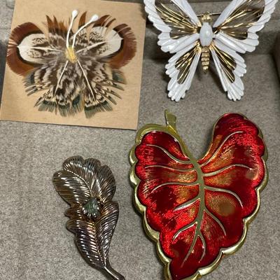 Pheasant feather, butterfly, pin and more