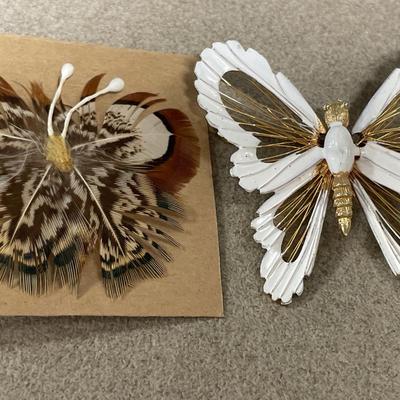 Pheasant feather, butterfly, pin and more