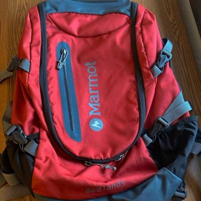 Marmot backpack, a Qbic backpack, AARP gym bag and an Asheville Trail Guide!