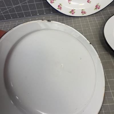 (3) Enamel Plates 