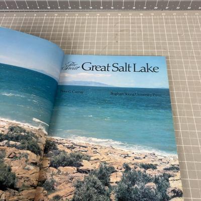 The GREAT SALT LAKE 