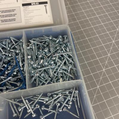 Screws and Bolts in Small Bins ALL NEW 