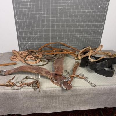 Horse Tac and a few bits and leads etc.