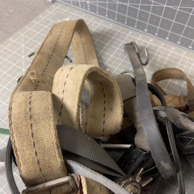 Straps and Bungies 