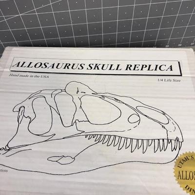 Allosaurus Skull Replica