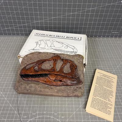 Allosaurus Skull Replica