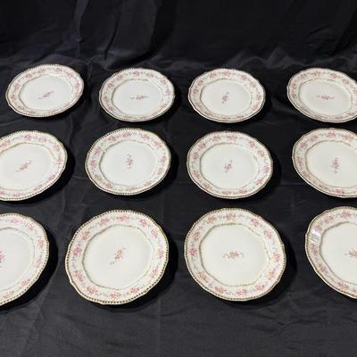 Limoges France Scalloped Plate Elite Works Higgins & Seiter China Set